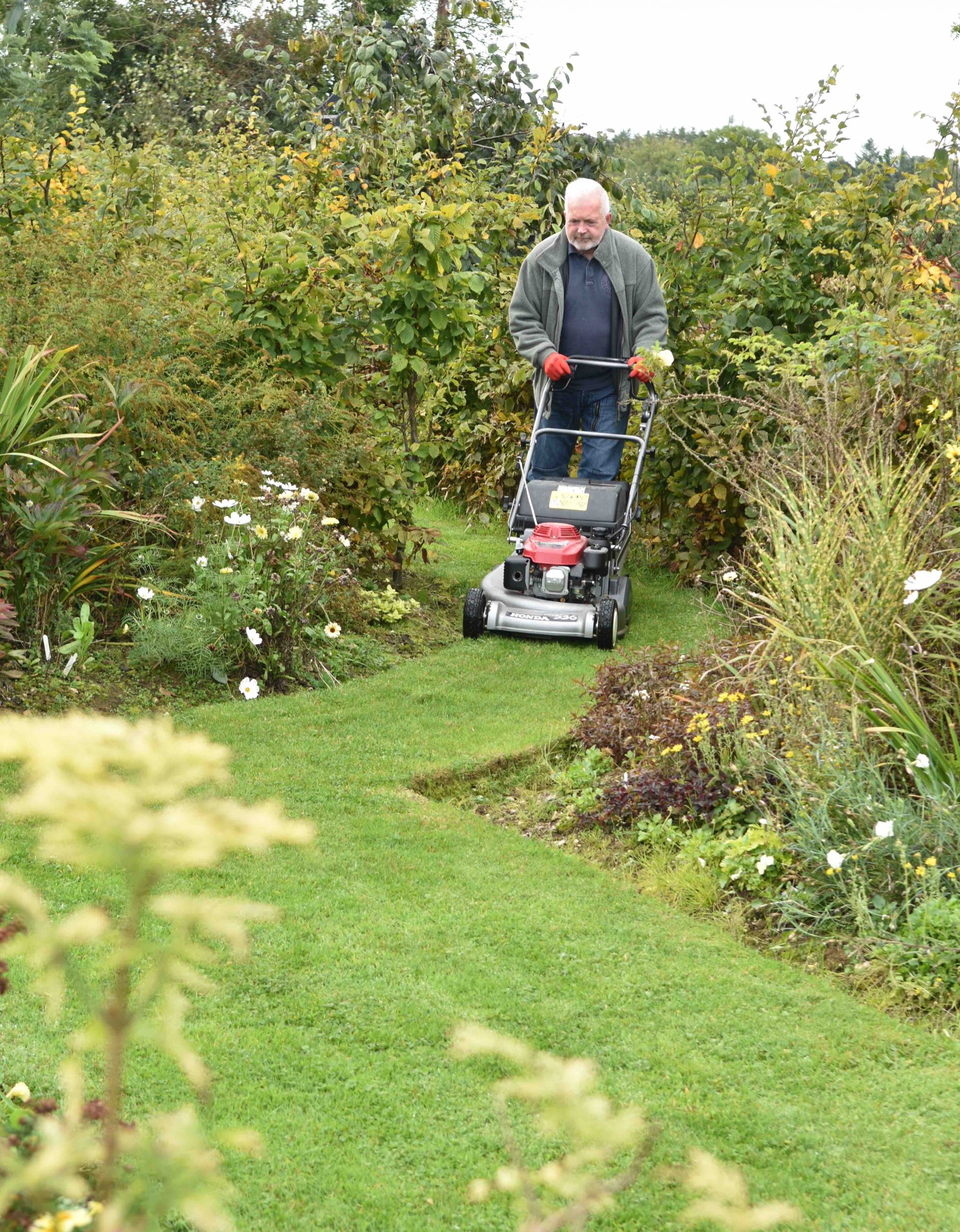 Autumn lawn care Nags Hall Gardener